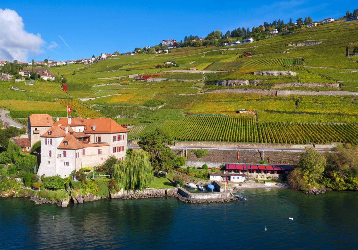 Lavaux Unesco / Vaud Winetourism