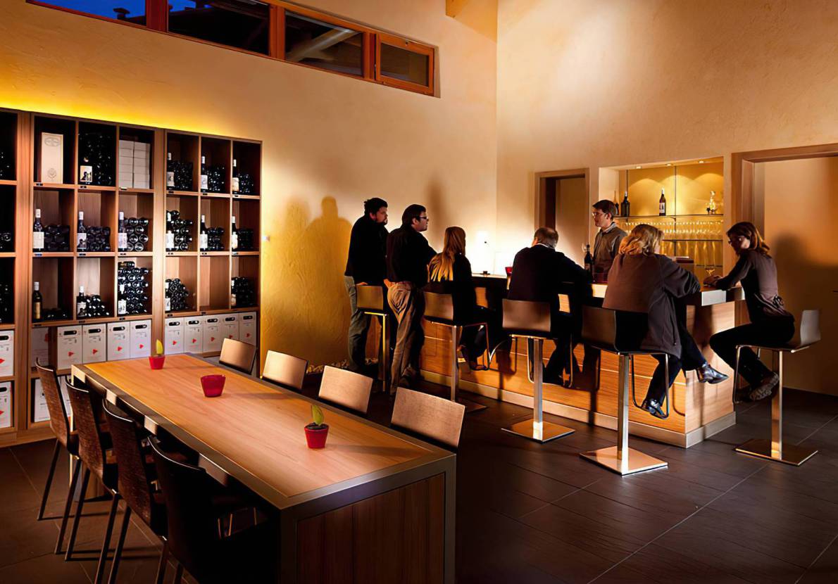 Cellar & Wine shop