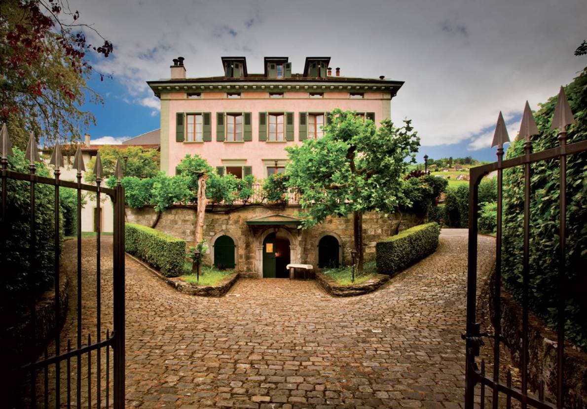 Cellar & Wine shop